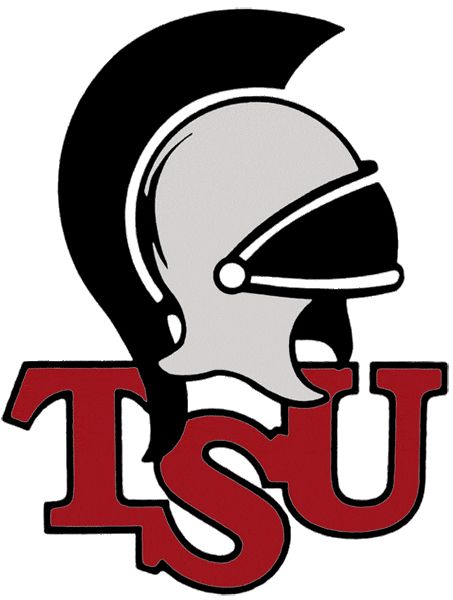 Troy Trojans 1993-2003 Primary Logo DIY iron on transfer (heat transfer)